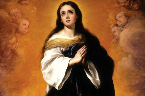 The Immaculate Conception of The Blessed Virgin Mary